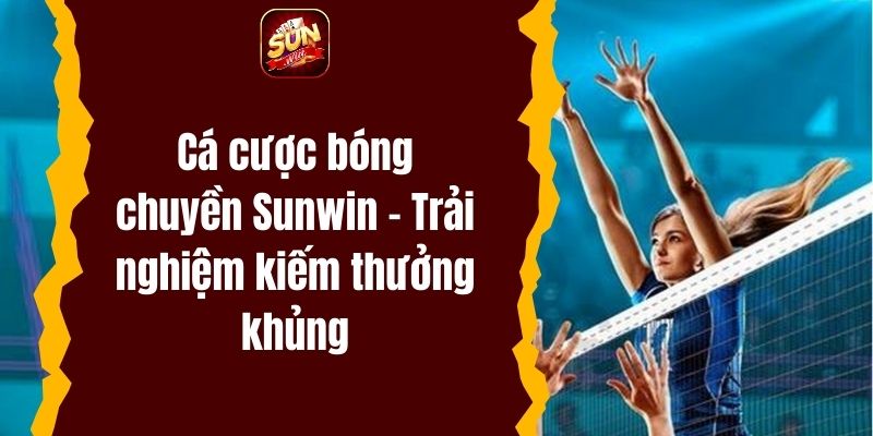 Cá cược bóng chuyền Sunwin – Trải nghiệm kiếm thưởng khủng