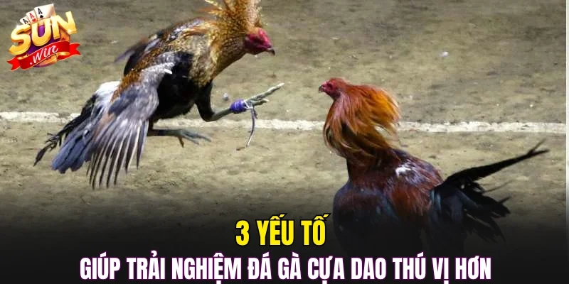 3 yếu tố giúp trải nghiệm đá gà cựa dao thú vị hơn