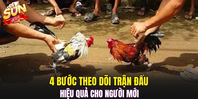 4 bước theo dõi trận đấu hiệu quả cho người mới 