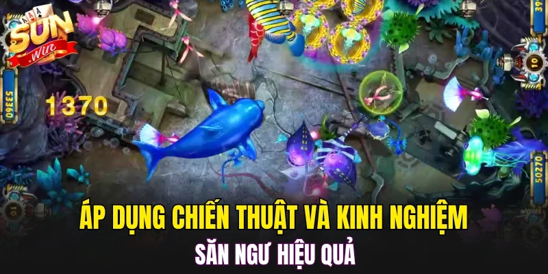 Áp dụng chiến thuật và kinh nghiệm săn ngư hiệu quả