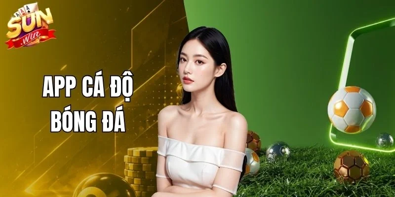 App Cá Độ Bóng Đá