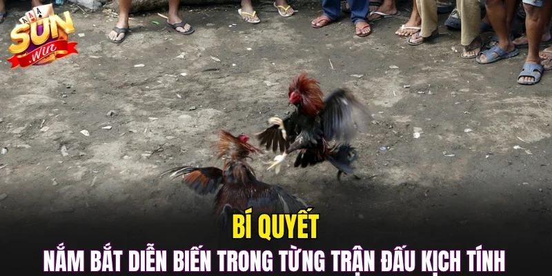 Bí quyết nắm bắt diễn biến trong từng trận đấu kịch tính 