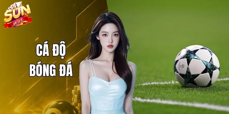 Cá Độ Đá Bóng