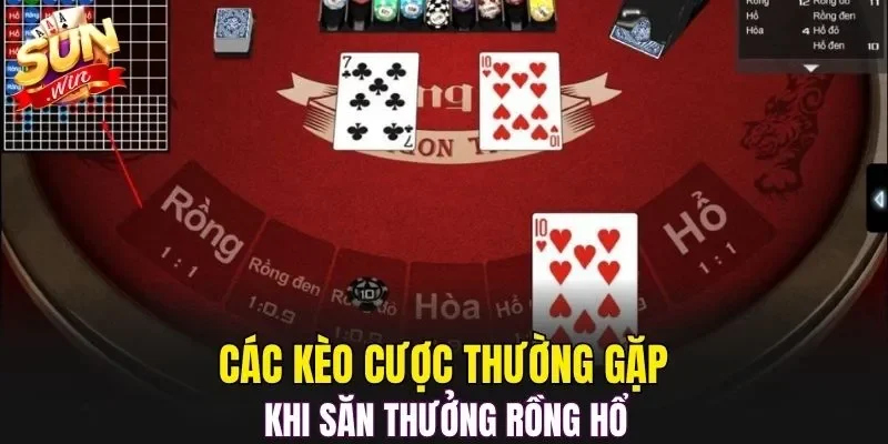 Các kèo cược thường gặp khi săn thưởng Rồng Hổ