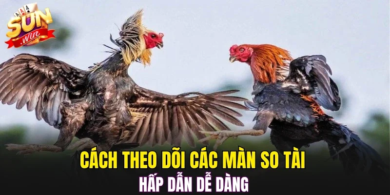 Cách theo dõi các màn so tài hấp dẫn dễ dàng 
