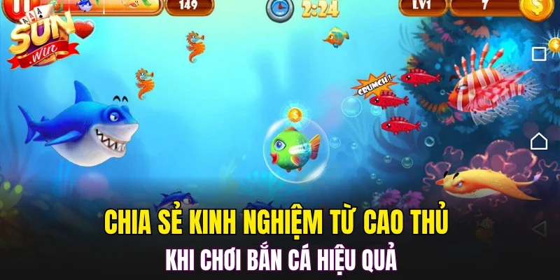 Chia sẻ kinh nghiệm từ cao thủ khi chơi bắn cá hiệu quả