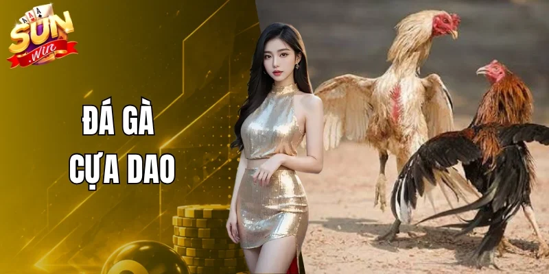 Đá Gà Cựa Dao