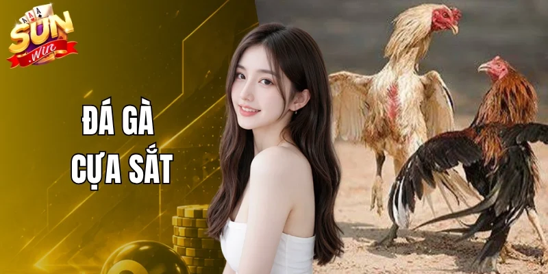 Đá Gà Cực Sắt