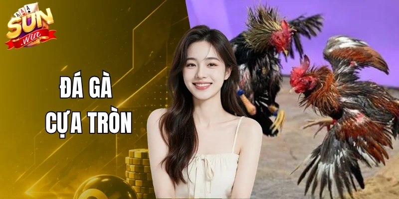 Đá Gà Cựa Tròn