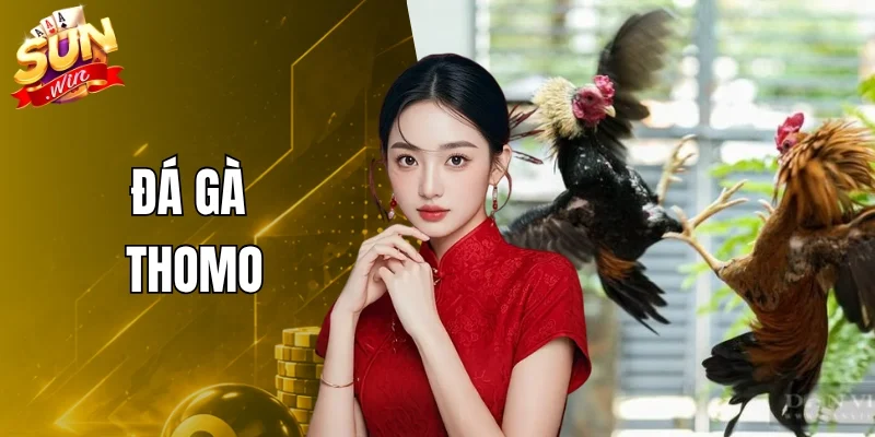 Đá Gà Thomo