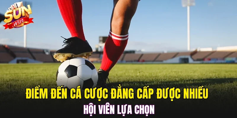 Điểm đến cá cược đẳng cấp được nhiều hội viên lựa chọn
