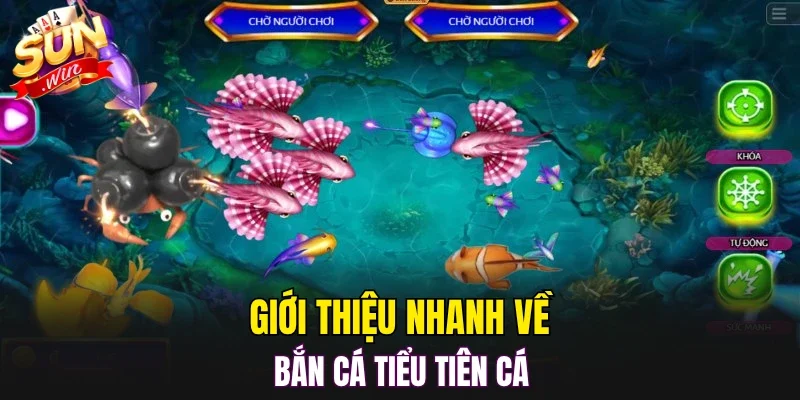 Giới thiệu nhanh về bắn cá tiểu tiên cá