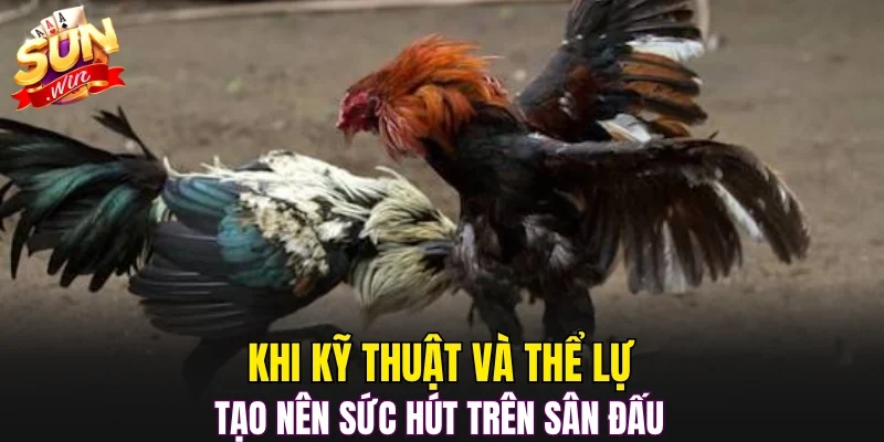 Khi kỹ thuật và thể lực tạo nên sức hút trên sân đấu 