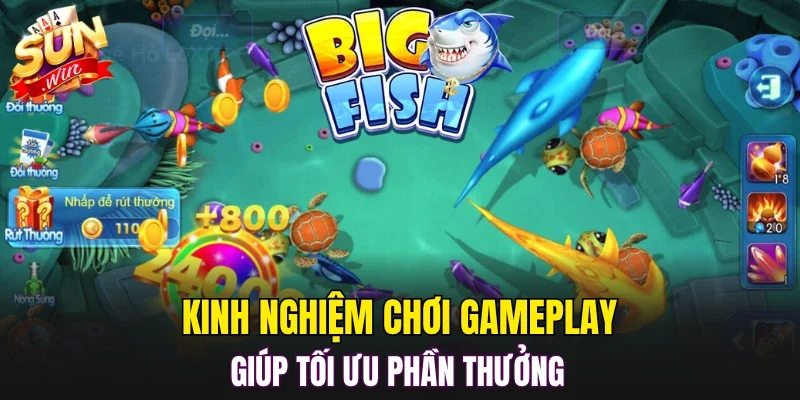 Kinh nghiệm chơi gameplay giúp tối ưu phần thưởng 