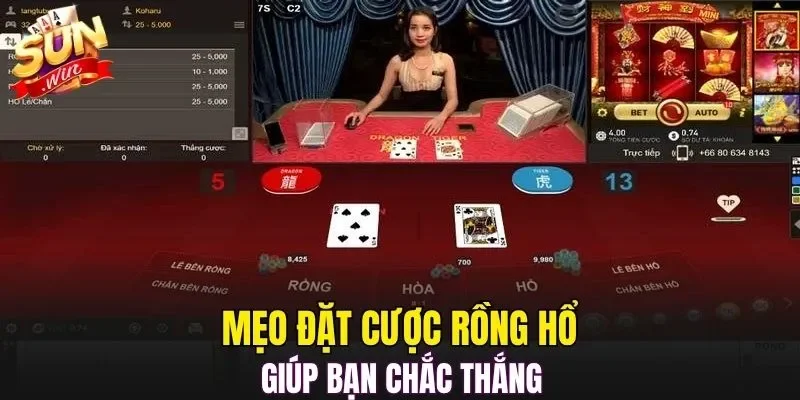 Mẹo đặt cược Rồng Hổ giúp bạn chắc thắng