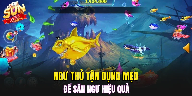 Ngư thủ tận dụng mẹo để săn ngư hiệu quả