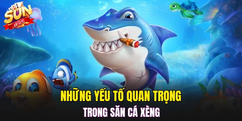 Những yếu tố quan trọng trong săn cá xèng