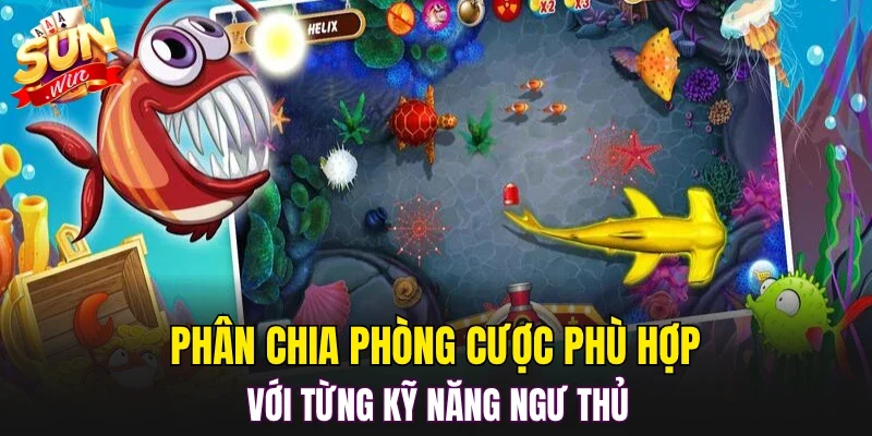 Phân chia phòng cược phù hợp với từng kỹ năng ngư thủ