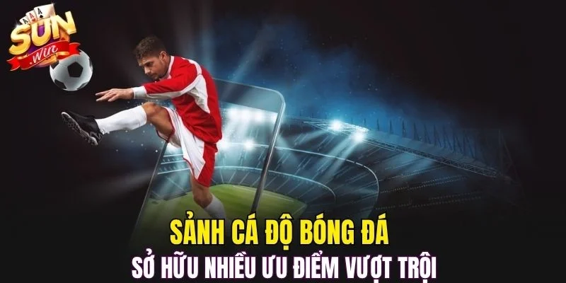 Sảnh cá độ bóng đá sở hữu nhiều ưu điểm vượt trội