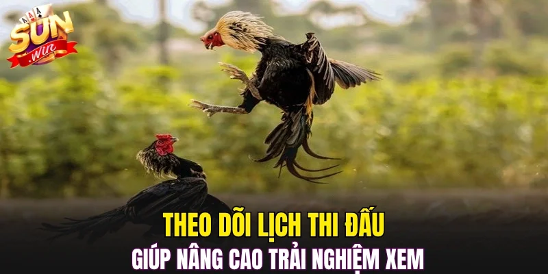 Theo dõi lịch thi đấu giúp nâng cao trải nghiệm xem 