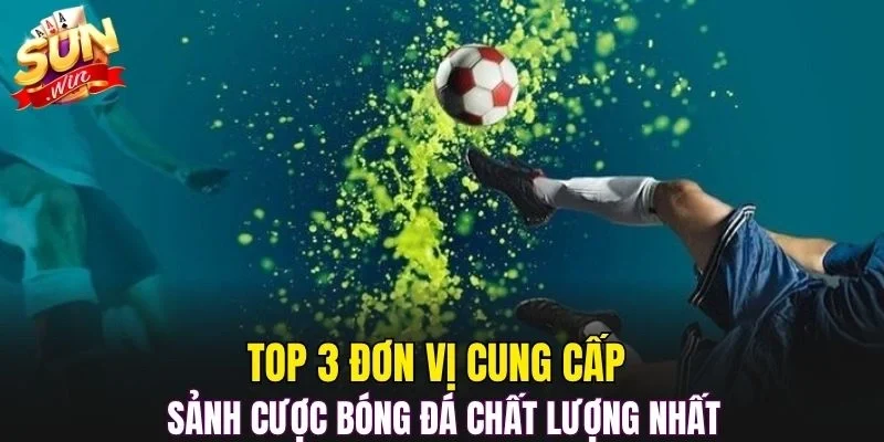 Top 3 đơn vị cung cấp sảnh cược bóng đá chất lượng nhất